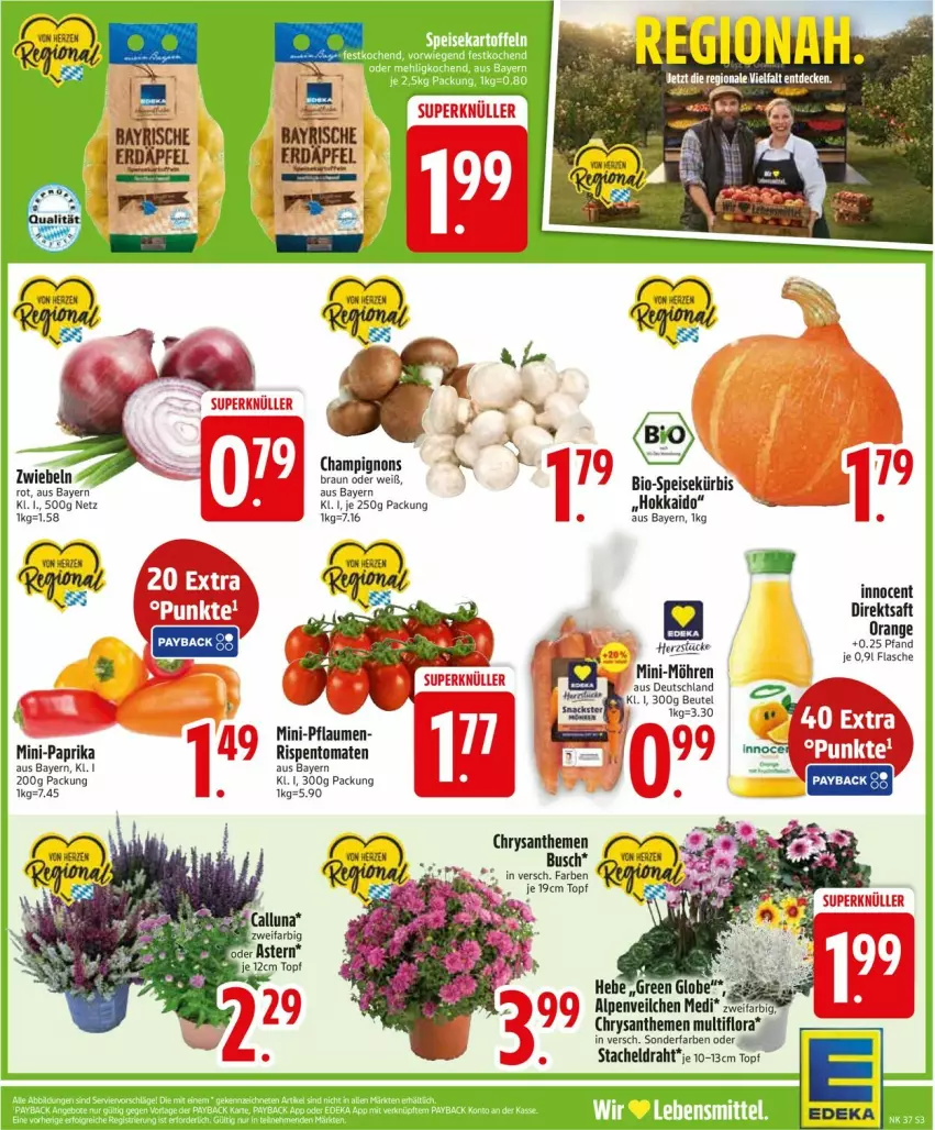 Aktueller Prospekt Edeka - Prospekte - von 08.09 bis 13.09.2025 - strona 5 - produkty: Alpenveilchen, angebot, angebote, beutel, bio, braun, champignon, champignons, chrysanthemen, deka, direktsaft, Draht, eis, flasche, Innocent, Kürbis, orange, paprika, payback, pflaume, pflaumen, rispentomaten, saft, Ti, tomate, tomaten, topf, zwiebel, zwiebeln
