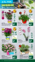 Gazetka promocyjna Aldi Nord - Aldi-Aktuell - Gazetka - ważna od 21.05 do 21.05.2022 - strona 28 - produkty: auer, Blüte, Brei, eis, fleisch, frucht, gin, kulturtopf, pflanze, pflanzen, phalaenopsis, Rauch, Ria, sana, strauchtomaten, Ti, tomate, tomaten, topf, Yo, ZTE
