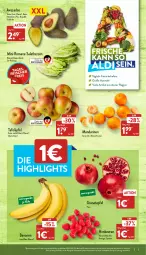 Gazetka promocyjna Aldi Nord - Aldi-Aktuell - Gazetka - ważna od 21.05 do 21.05.2022 - strona 3 - produkty: aldi, apfel, avocado, avocados, banane, bananen, beere, beeren, beutel, eis, grana, granatapfel, himbeer, himbeere, himbeeren, lebensmittel, mandarine, mandarinen, Rana, Rauch, reis, salat, salatherzen, Schal, Schale, tafeläpfel, Ti, Yo