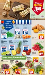 Gazetka promocyjna Rewe - Diese Woche im Angebot! - Gazetka - ważna od 28.05 do 28.05.2022 - strona 3 - produkty: ananas, aprikose, aprikosen, blume, blumen, cola, discount, eis, elle, kartoffel, kartoffeln, knoblauch, lavendel, pflanze, pflanzen, radieschen, reis, rote tafeläpfel, rucola, Schal, Schale, spargel, Süßkartoffeln, tafeläpfel, tafeltrauben, Ti, tiefpreis, topf, trauben