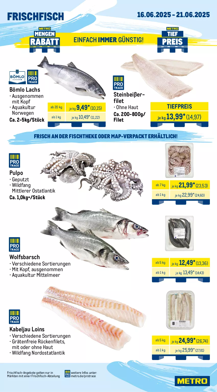Aktueller Prospekt Metro - Wochen-Angebote Gastro - von 16.06 bis 21.06.2025 - strona 5 - produkty: Abtei, angebot, angebote, aqua, eis, filet, filets, fisch, fischtheke, fleisch, frischfisch, lachs, Metro, reis, rwe, schwein, schweine, schweinefilet, schweinenacken, schweinerücken, steak, Steinbeißer, Steinbeißerfilet, Ti, tiefpreis, wein, weine, Wild, wolfsbarsch