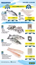Gazetka promocyjna Metro - Wochen-Angebote Gastro - Gazetka - ważna od 21.06 do 21.06.2025 - strona 5 - produkty: Abtei, angebot, angebote, aqua, eis, filet, filets, fisch, fischtheke, fleisch, frischfisch, lachs, Metro, reis, rwe, schwein, schweine, schweinefilet, schweinenacken, schweinerücken, steak, Steinbeißer, Steinbeißerfilet, Ti, tiefpreis, wein, weine, Wild, wolfsbarsch