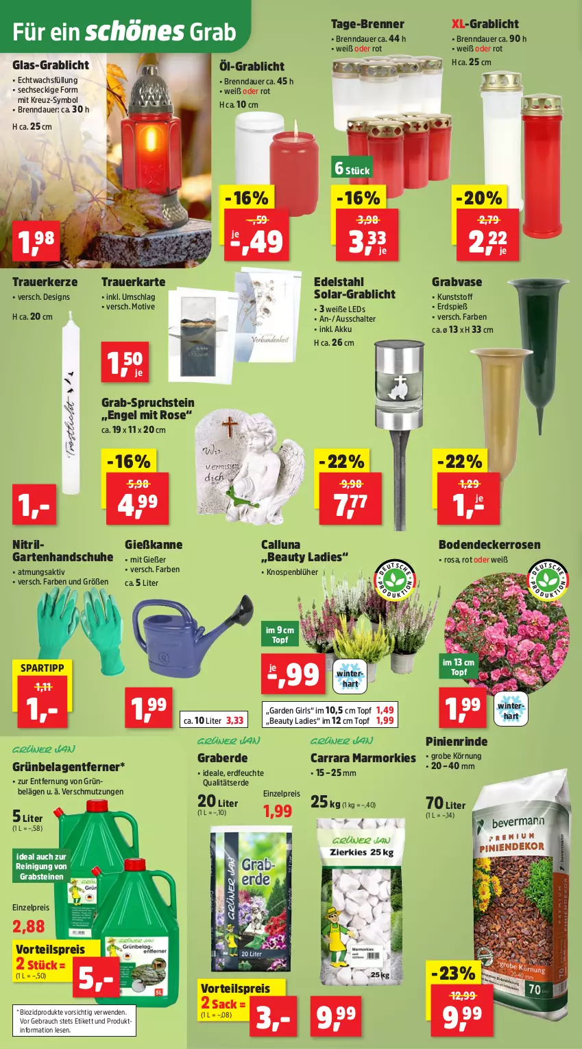 Aktueller Prospekt Thomas Philipps - von 08.09 bis 13.09.2025 - strona 10 - produkty: akku, auer, bio, biozidprodukte, decke, edelstahl, eis, Engel, erde, Garten, Gießkanne, handschuhe, kerze, leds, LG, Rauch, Reinigung, reis, rind, rosen, rwe, sac, Schal, schuhe, spartipp, Ti, topf, Vase, vorteilspreis