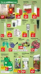 Gazetka promocyjna Thomas Philipps - Gazetka - ważna od 13.09 do 13.09.2025 - strona 10 - produkty: akku, auer, bio, biozidprodukte, decke, edelstahl, eis, Engel, erde, Garten, Gießkanne, handschuhe, kerze, leds, LG, Rauch, Reinigung, reis, rind, rosen, rwe, sac, Schal, schuhe, spartipp, Ti, topf, Vase, vorteilspreis