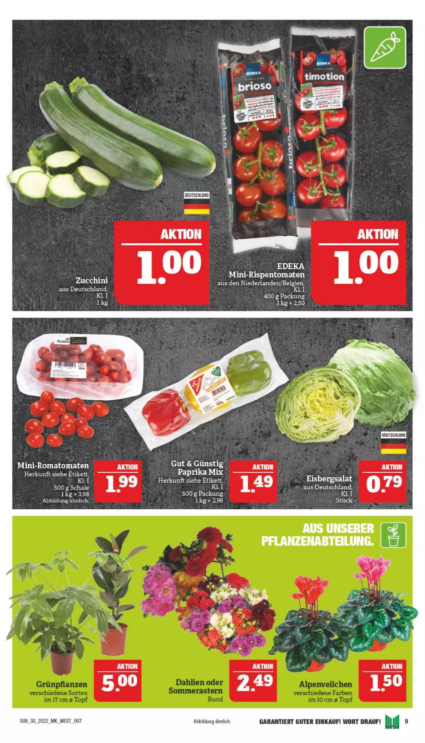 Aktueller Prospekt Marktkauf - Prospekt - von 14.08 bis 20.08.2022 - strona 9 - produkty: eis, eisbergsalat, LG, salat, Schal, Schale, tee, Ti, zucchini