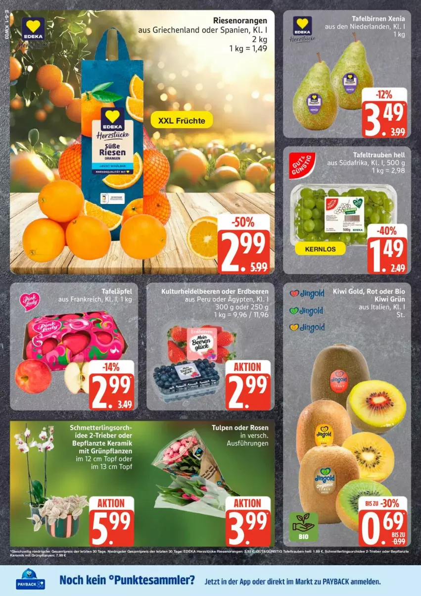 Aktueller Prospekt Edeka - Prospekte - von 12.01 bis 17.01.2026 - strona 6 - produkty: Grünpflanzen, orange, orangen, payback, pflanze, pflanzen, rosen, tesa, topf, ZTE