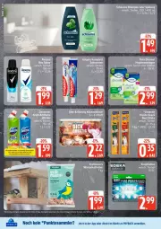 Gazetka promocyjna Edeka - Prospekte - Gazetka - ważna od 17.01 do 17.01.2026 - strona 26 - produkty: Discreet, ente, kräuter, payback, schauma, tee, tesa