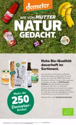 Gazetka promocyjna Kaufland - Prospekt - Gazetka - ważna od 03.01 do 03.01.2024 - strona 51 - produkty: angebot, angebote, auer, Bau, bio, elle, mac, natur, Ti, usb