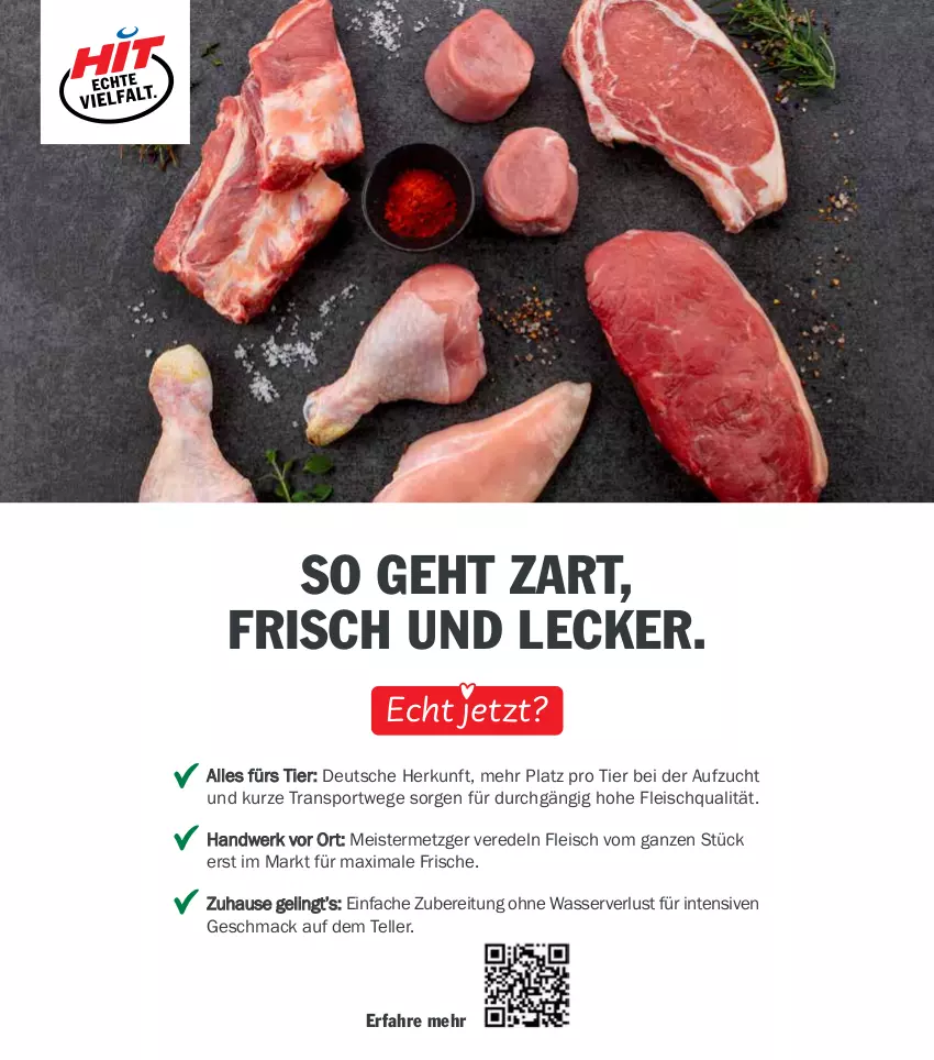 Aktueller Prospekt Hit - Wochenprospekt - von 10.11 bis 15.11.2025 - strona 16 - produkty: eis, elle, fleisch, mac, Meister, Sport, teller, Ti, wasser
