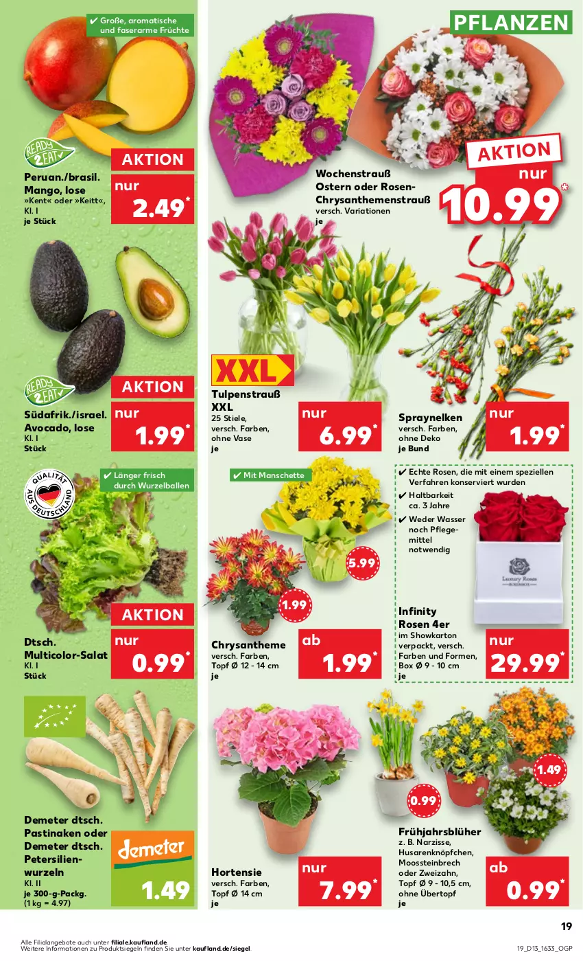 Aktueller Prospekt Kaufland - Prospekt - von 28.03 bis 03.04.2024 - strona 19 - produkty: angebot, angebote, asti, avocado, ball, elle, früchte, hortensie, mango, petersilie, pflanze, pflanzen, Ria, rosen, salat, Spezi, Ti, tisch, topf, übertopf, Vase, wasser