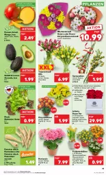 Gazetka promocyjna Kaufland - Prospekt - Gazetka - ważna od 03.04 do 03.04.2024 - strona 19 - produkty: angebot, angebote, asti, avocado, ball, elle, früchte, hortensie, mango, petersilie, pflanze, pflanzen, Ria, rosen, salat, Spezi, Ti, tisch, topf, übertopf, Vase, wasser