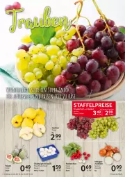 Gazetka promocyjna Selgros - Food - Gazetka - ważna od 26.10 do 26.10.2022 - strona 4 - produkty: champignon, champignons, eis, ente, Feigen, reis, Schal, Schale, Ti, zwiebel, zwiebeln