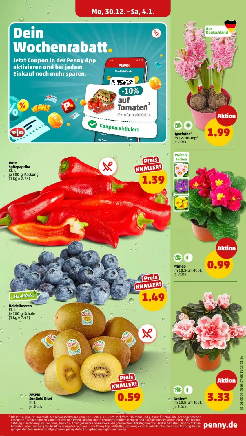 Aktueller Prospekt Penny - Prospekte - von 30.12.2025 bis 04.01.2026 - strona 9 - produkty: beere, beeren, coupon, heidelbeere, heidelbeeren, kiwi, Schal, Schale, Ti, topf, zespri