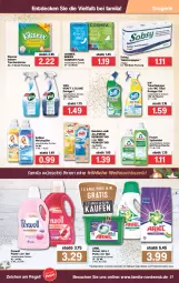Gazetka promocyjna Famila - Prospekte - Gazetka - ważna od 24.12 do 24.12.2021 - strona 29 - produkty: ariel, Bad, balsam, biff, binden, bio, biozidprodukte, cosmea, dalli, decke, flasche, Frosch, kraft, papier, perwoll, Pods, Rauch, regal, reiniger, reiniger gel, rwe, Softlan, spülmittel, Tasche, taschen, taschentücher, Ti, toilettenpapier, tücher, wc total, weck, weichspüler