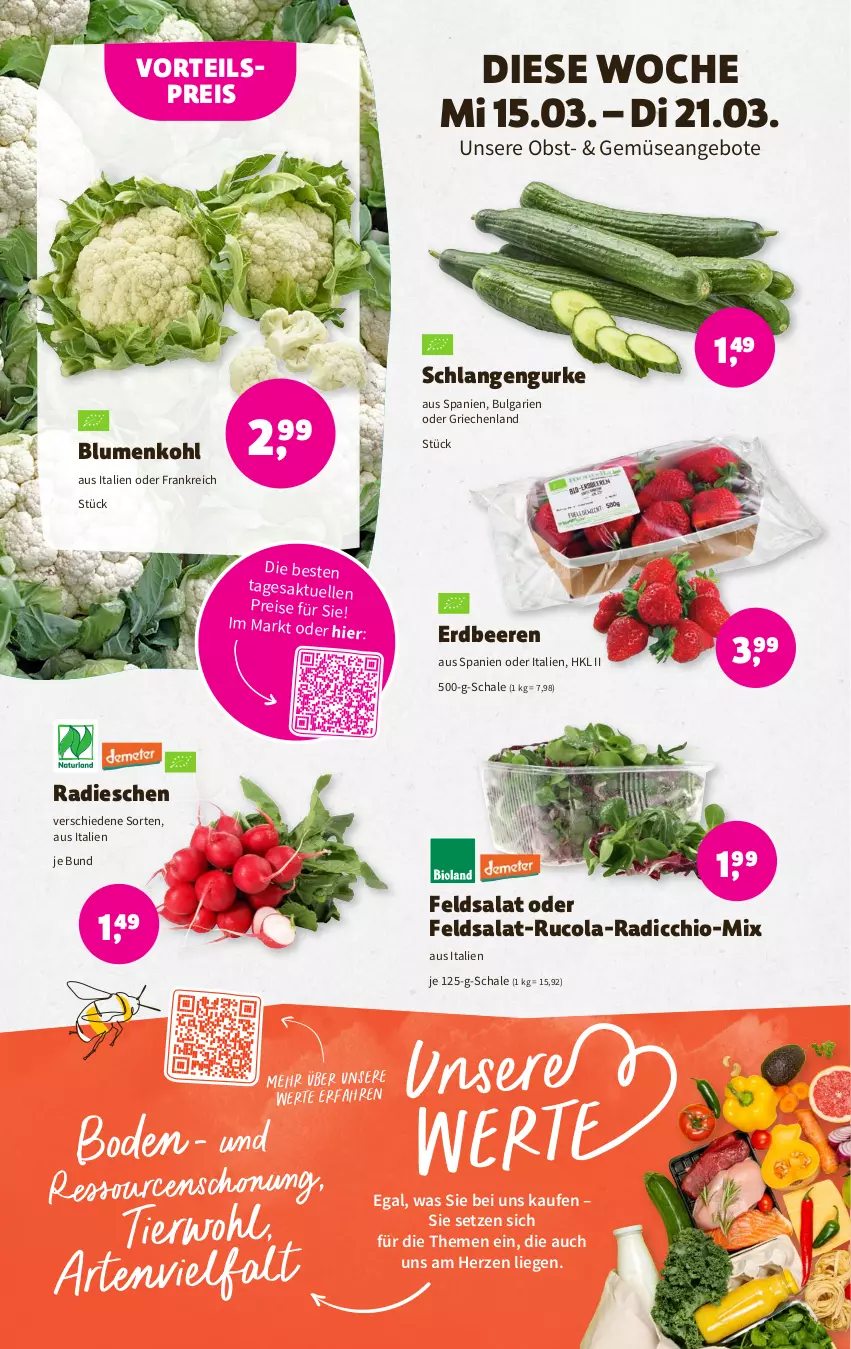 Aktueller Prospekt Denns Biomarkt - Prospekte - von 15.03 bis 28.03.2023 - strona 2 - produkty: angebot, angebote, beere, beeren, blume, blumen, blumenkohl, cola, eis, elle, erdbeere, erdbeeren, feldsalat, gurke, LG, Liege, obst, Radicchio, radieschen, reis, rucola, salat, Schal, Schale, Ti, vorteilspreis