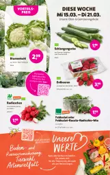 Gazetka promocyjna Denns Biomarkt - Prospekte - Gazetka - ważna od 28.03 do 28.03.2023 - strona 2 - produkty: angebot, angebote, beere, beeren, blume, blumen, blumenkohl, cola, eis, elle, erdbeere, erdbeeren, feldsalat, gurke, LG, Liege, obst, Radicchio, radieschen, reis, rucola, salat, Schal, Schale, Ti, vorteilspreis