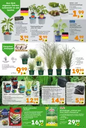 Gazetka promocyjna  - Gazetka - ważna od 23.05 do 23.05.2026 - strona 3 - produkty: ananas, beutel, Brei, dünger, ente, fisch, Garten, gurke, gurken, Kescher, kirsch, kirsche, kirschen, Kraut, LG, linsen, mais, paprika, peperoni, Peroni, pool, popcorn, rasen, rasendünger, Ria, salat, Schal, Schale, Teleskop, Ti, tomate, tomaten, topf, und gemüse, wasser, zucchini, zucker