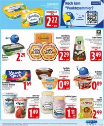 Gazetka promocyjna Edeka - Prospekte - Gazetka - ważna od 03.05 do 03.05.2025 - strona 11 - produkty: albray, alpro, becel, Becher, bio, brötchen, butter, chaumes, chavroux, dessert, Dr. Oetker, eis, gin, grana, grana padano, gyros, joghur, joghurt, landliebe, landliebe joghurt, natur, padano, pudding, Rana, reis, Saint Agur, saint albray, Skyr, soya, tesa, Ti, ZTE