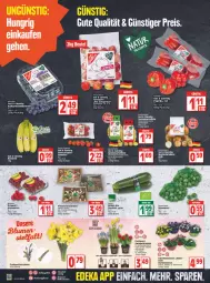 Gazetka promocyjna Edeka - Angebote der Woche - Gazetka - ważna od 26.02 do 26.02.2022 - strona 8 - produkty: banane, bananen, beere, beeren, bio, blume, blumen, deka, edeka bio, eis, fisch, himbeer, himbeere, himbeeren, kartoffel, kartoffeln, LG, mac, Narzissen, paprika, quinoa, reis, rosen, Rosenkohl, rwe, salat, Schal, Schale, snack, snacks, speisekartoffeln, Stier, tafeläpfel, thunfisch, Ti, tomate, tomaten, top-preis, topf, zucchini, zwiebel