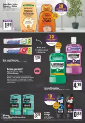 Gazetka promocyjna Edeka - Angebote der Woche - Gazetka - ważna od 02.07 do 02.07.2022 - strona 20 - produkty: angebot, angebote, blend-a-med, bürste, creme, deutschlandcard, duschdas, einwegrasierer, eis, flasche, fleisch, garnier, listerine, Mundhygiene, mundspülung, rasierer, shampoo, shampoo oder spülung, spülung, Ti, Wahre Schätze, wilkinson, zahnbürste, zahncreme, Zahnseide