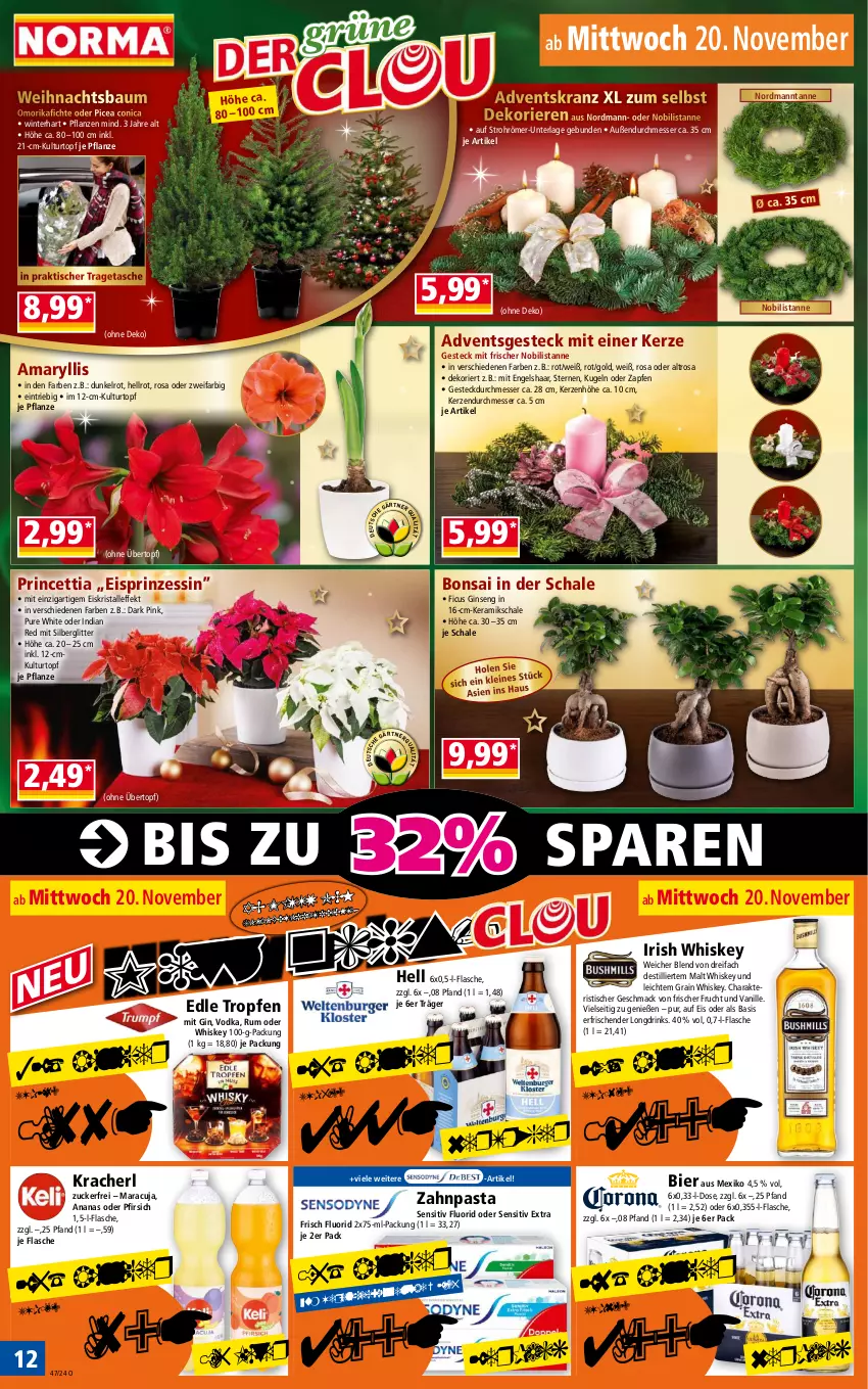 Aktueller Prospekt Norma - Norma - von 18.11 bis 25.11.2024 - strona 12 - produkty: Adventskranz, ananas, Bau, bier, drink, drinks, eis, Engel, Ficus, flasche, frucht, gin, irish whiskey, kerze, kracher, Kranz, Kugel, kulturtopf, mac, maracuja, messer, pasta, pfirsich, pflanze, pflanzen, rum, Schal, Schale, Tasche, Ti, tisch, topf, tragetasche, übertopf, vanille, vodka, Weihnachtsbaum, whiskey, zahnpasta, zucker