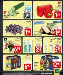 Gazetka promocyjna Edeka - Prospekte - Gazetka - ważna od 01.08 do 01.08.2026 - strona 31 - produkty: adelholzener, alkohol, bier, creme, deka, eis, eistee, elmex, flasche, gurke, Holz, Käse, lebensmittel, Mexx, paprika, paprika rot, pet-flasche, reis, schorle, tee, Ti, vorspeise, weissbier, zahncreme