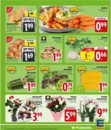 Gazetka promocyjna Edeka - Prospekte - Gazetka - ważna od 01.08 do 01.08.2026 - strona 5 - produkty: bio, grill, ideal zum grillen, karotten, lebensmittel, mais, Schal, Schale, Spezi, Ti, zucker, zuckermais