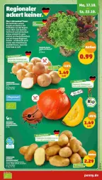 Gazetka promocyjna Penny - Prospekte - Gazetka - ważna od 22.10 do 22.10.2022 - strona 3 - produkty: cola, eis, fenster, kartoffel, kartoffeln, Kürbis, obst, regal, speisekartoffeln, Ti, zwiebel, zwiebeln