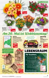 Gazetka promocyjna Kaufland - Gazetka - ważna od 18.05 do 18.05.2022 - strona 15 - produkty: angebot, angebote, brot, decke, Holz, mac, Maus, obst, pflanze, pflanzen, Ria, rwe, sac, schnitten, sekt, tafeläpfel, Ti, topf, topf ø 12 cm, tücher, Wild