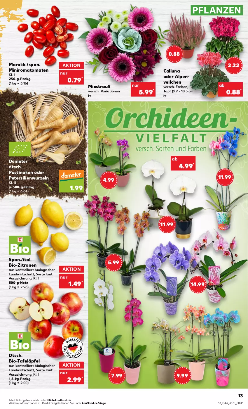 Aktueller Prospekt Kaufland - von 03.11 bis 09.11.2022 - strona 13 - produkty: Alpenveilchen, angebot, angebote, asti, bio, bio-zitronen, orchidee, orchideen, petersilie, pflanze, pflanzen, Ria, Romatomaten, tafeläpfel, Ti, tomate, tomaten, topf, trolli, zitrone, zitronen