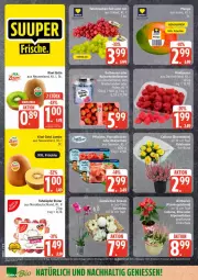 Gazetka promocyjna Edeka - Prospekte - Gazetka - ważna od 05.09 do 05.09.2026 - strona 8 - produkty: beere, beeren, blume, eis, Elan, früchte, himbeer, himbeere, himbeeren, jumbo, kiwi, Kiwi Gold, mango, nuss, orchidee, reis, rosen, Schal, Schale, tafeläpfel, Ti, topf, zespri, ZTE
