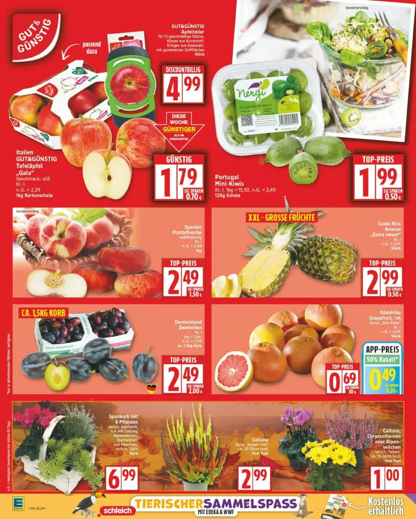 Aktueller Prospekt Edeka - Prospekte - von 01.09 bis 06.09.2025 - strona 2 - produkty: kiwi, Schal, Schale