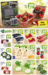 Gazetka promocyjna  - Prospekte - Gazetka - ważna od 09.04 do 09.04.2022 - strona 2 - produkty: beere, beeren, beutel, bio, broccoli, butter, cola, eis, Elan, feldsalat, heidelbeere, heidelbeeren, himbeer, himbeere, himbeeren, kartoffel, kartoffeln, kohlrabi, Müller, paprika, paprika rot, rhabarber, rispentomaten, rucola, rwe, saft, salat, Schal, Schale, speisekartoffeln, Ti, tisch, tomate, tomaten, trauben