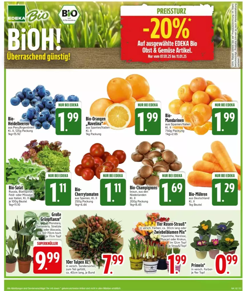 Aktueller Prospekt Edeka - Prospekte - von 06.01 bis 11.01.2025 - strona 5 - produkty: beutel, bio, blattspinat, blume, blumen, braun, champignon, champignons, cherrytomaten, cola, deka, edeka bio, eis, mandarine, mandarinen, möhren, monster, Monstera, navelina, pflanze, Primeln, reis, reiss, rosen, rucola, salat, spinat, Ti, tomate, tomaten, topf, zwiebel