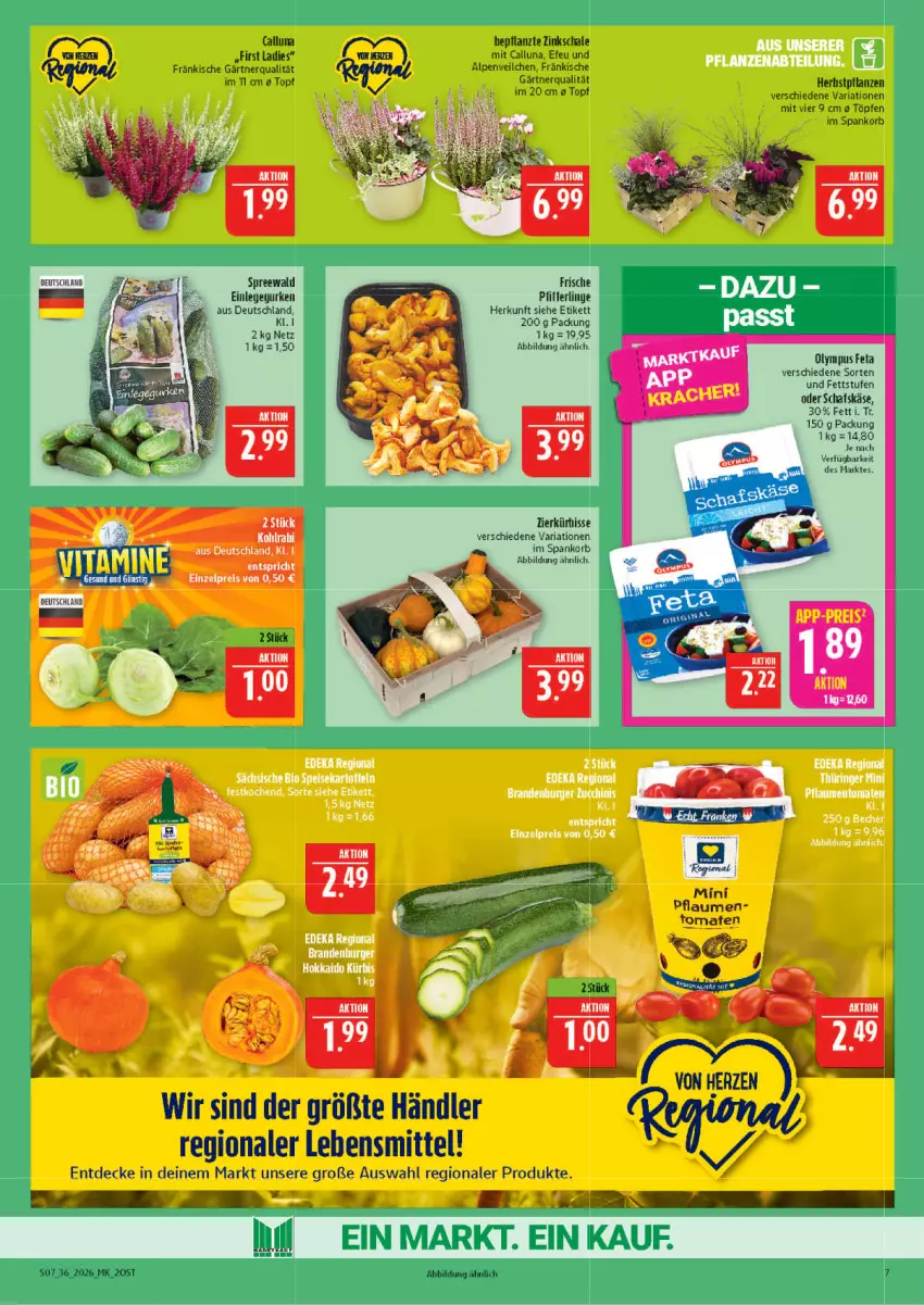 Aktueller Prospekt Marktkauf - Prospekt - von 30.08 bis 05.09.2026 - strona 7 - produkty: Alpenveilchen, decke, feta, gurke, gurken, Käse, korb, lebensmittel, Pfifferlinge, pflanze, pflanzen, pflaume, pflaumen, Ria, schafskäse, Schal, Schale, Ti, topf, ZTE