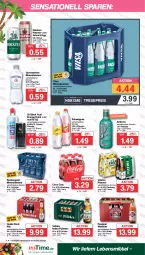 Gazetka promocyjna Famila - Prospekte - Gazetka - ważna od 29.07 do 29.07.2023 - strona 16 - produkty: Alwa, Astra, bier, cola, drink, eis, elle, energy drink, flasche, gerolsteine, gerolsteiner, holsten, holsten pilsener, küstengold, lack, lebensmittel, mineralwasser, Paula, paulaner, pils, pilsener, reis, schweppes, steiner, Ti, urtyp, veltins, veltins pilsener, vilsa, wasser, ZTE