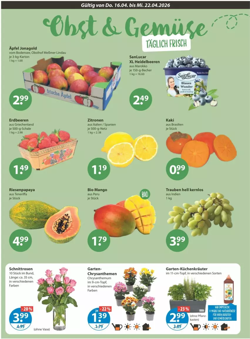 Aktueller Prospekt Vmarkt - Prospekte - von 16.04 bis 22.04.2026 - strona 4 - produkty: Becher, beere, beeren, bio, chrysanthemen, dünger, erdbeere, erdbeeren, Garten, heidelbeere, heidelbeeren, im 9-cm-topf, Kaki, kräuter, küche, Küchen, mango, Meßmer, natur, obst, Papaya, rosen, Schal, Schale, Ti, topf, trauben, Vase, zitrone, zitronen