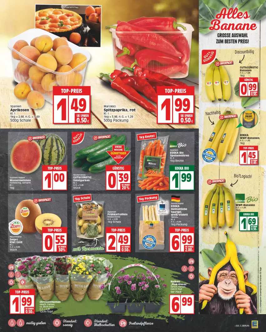 Aktueller Prospekt Edeka - Angebote der Woche - von 29.05 bis 03.06.2023 - strona 3 - produkty: aprikose, aprikosen, beutel, chrysanthemen, discount, eis, Elan, elle, gurke, gurken, kiwi, melone, melonen, möhren, paprika, reis, salat, Salatgurke, salatgurken, Schal, Schale, spargel, speisemöhren, Spitzpaprika, Ti, top-preis, topf, wasser, wassermelone, wassermelonen