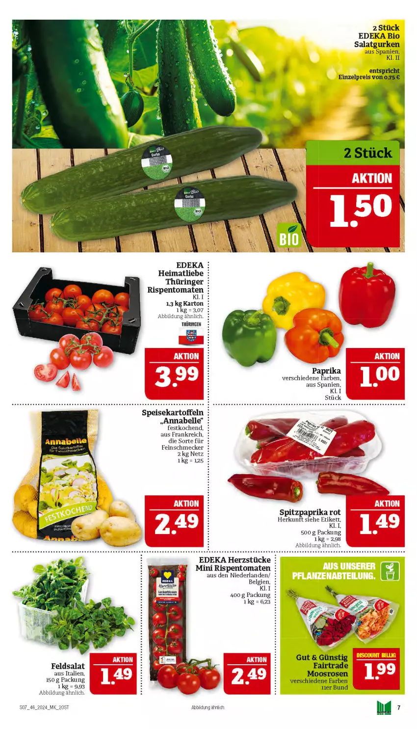 Aktueller Prospekt Marktkauf - Prospekt - von 10.11 bis 16.11.2024 - strona 7 - produkty: bio, deka, edeka bio, eis, elle, feinschmecker, feldsalat, gurke, gurken, kartoffel, kartoffeln, LG, paprika, paprika rot, reis, ring, rispentomaten, rosen, salat, Salatgurke, salatgurken, speisekartoffeln, Spitzpaprika, Ti, tomate, tomaten