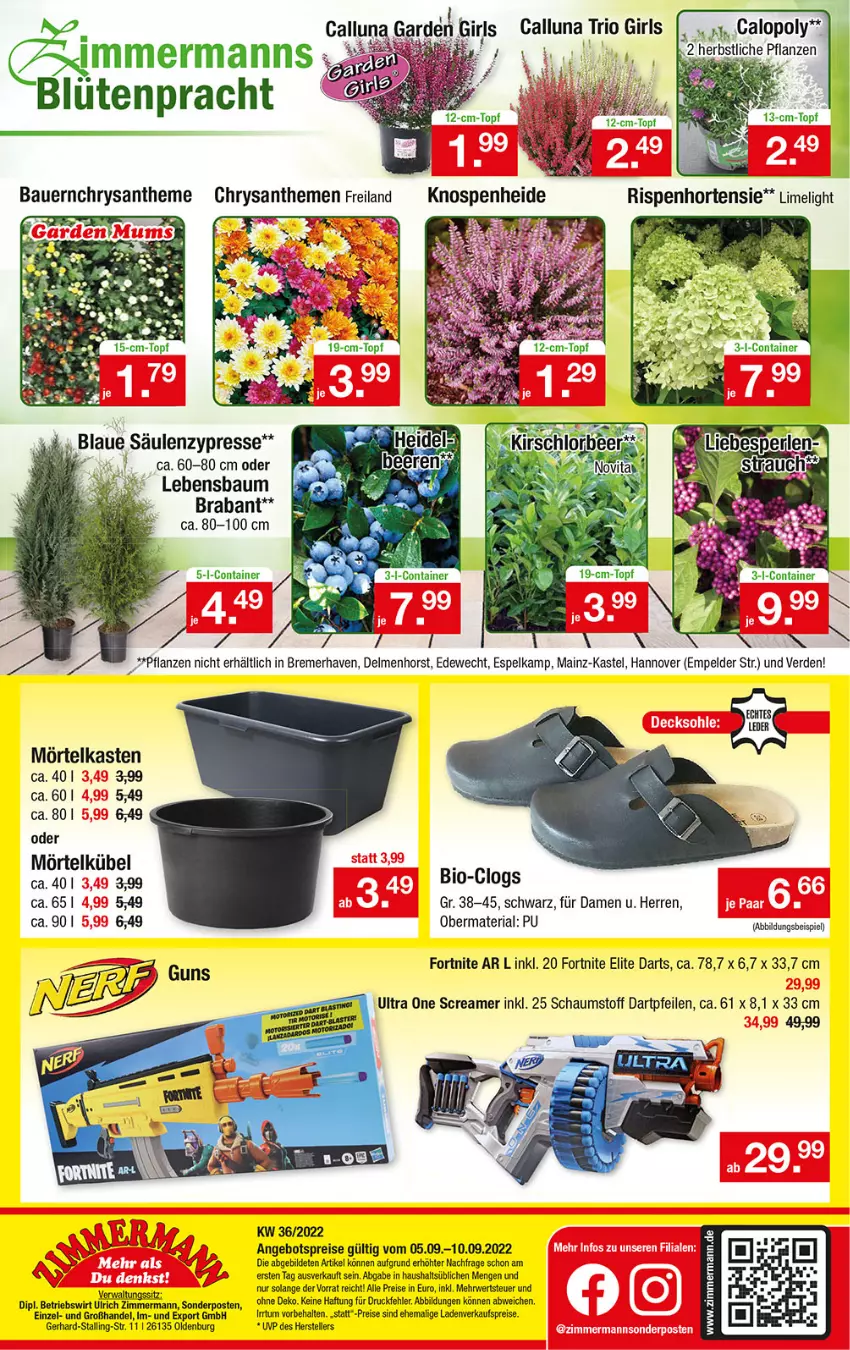 Aktueller Prospekt Zimmermann - Prospekte - von 05.09.2021 bis 10.09.2022 - strona 10 - produkty: auer, Bau, Bauer, bio, Blüte, chrysanthemen, Clogs, Container, dip, eis, elle, LG, pflanze, pflanzen, reis, Ria, rwe, sonderposten, teller, Ti