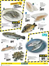 Gazetka promocyjna Metro - Food - Gazetka - ważna od 12.01 do 12.01.2022 - strona 5 - produkty: antipasti, aqua, asti, eis, elle, filet, fisch, fleisch, forelle, garnelen, grill, Heilbuttfilet, hipp, ideal zum grillen, mac, Metro, nuss, pasta, Pastagericht, rel, rum, saft, scholl, teppich, Ti, tisch, Wild, wolfsbarsch