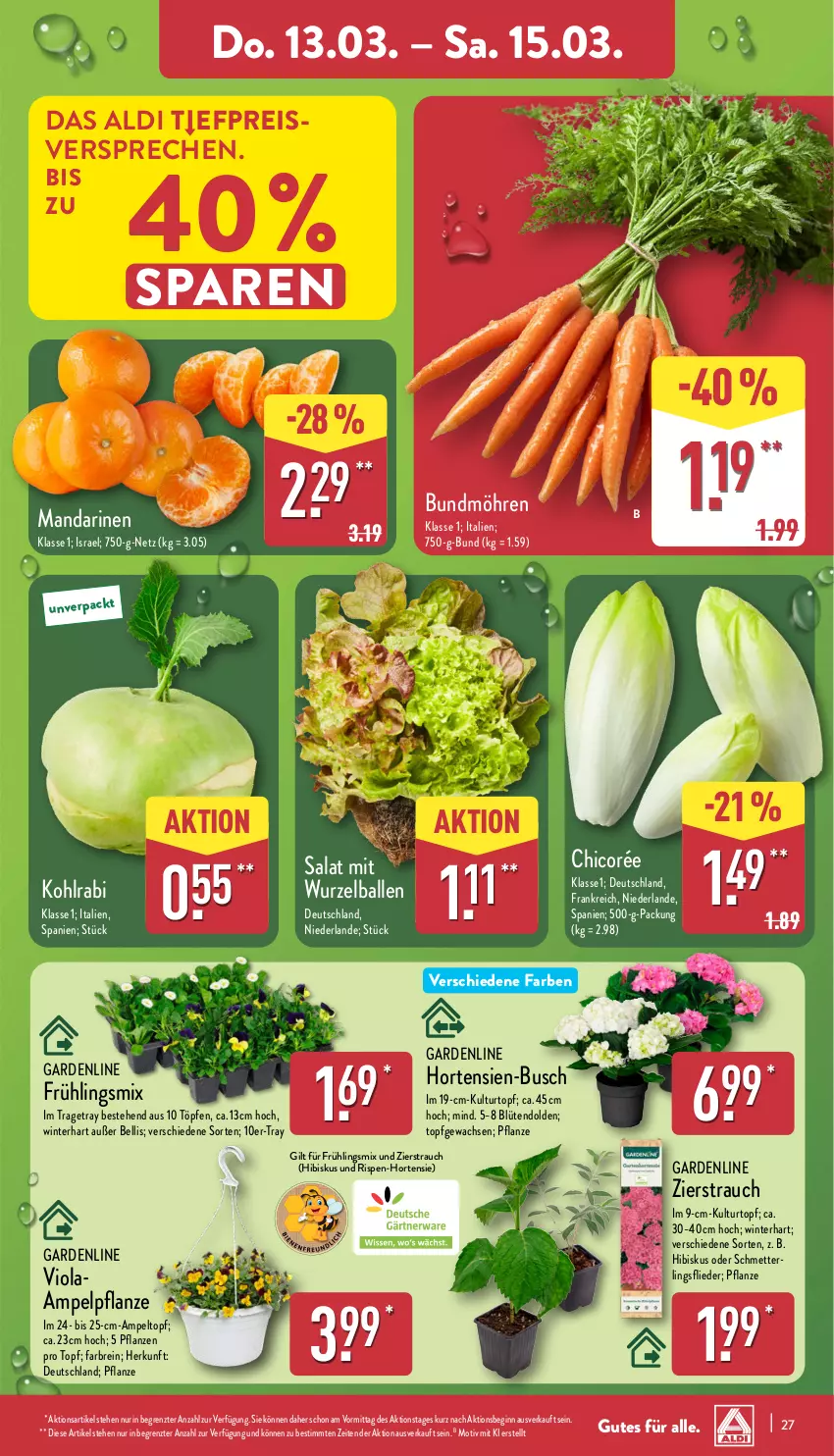 Aktueller Prospekt Aldi Nord - Von Montag - von 10.03 bis 15.03.2025 - strona 27 - produkty: aldi, ball, Blüte, Brei, Bundmöhren, eis, flieder, gin, hortensie, hortensien, kohlrabi, kulturtopf, mandarine, mandarinen, Mett, möhren, pflanze, pflanzen, Rauch, reis, salat, Schmetterling, Ti, topf, ZTE