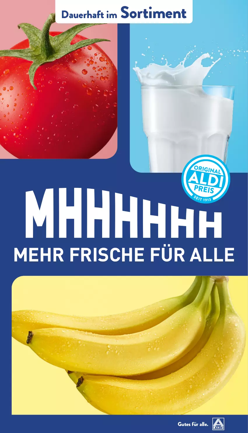 Aktueller Prospekt Aldi Nord - Von Montag - von 10.03 bis 15.03.2025 - strona 41 - produkty: auer, Ti