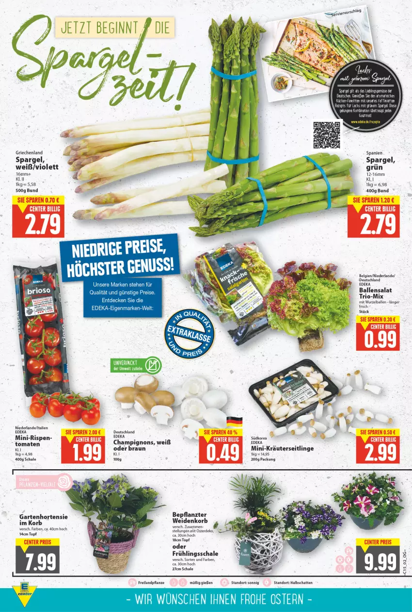 Aktueller Prospekt E Center - Angebote der Woche - von 11.04 bis 16.04.2022 - strona 2 - produkty: ball, braun, champignon, champignons, decke, deka, eis, erde, Garten, Heu, hortensie, korb, kräuter, Kräuterseitlinge, LG, pflanze, reis, salat, Schal, Schale, spargel, Ti, tomate, tomaten, topf, ZTE