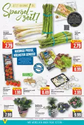 Gazetka promocyjna E Center - Angebote der Woche - Gazetka - ważna od 16.04 do 16.04.2022 - strona 2 - produkty: ball, braun, champignon, champignons, decke, deka, eis, erde, Garten, Heu, hortensie, korb, kräuter, Kräuterseitlinge, LG, pflanze, reis, salat, Schal, Schale, spargel, Ti, tomate, tomaten, topf, ZTE