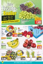 Gazetka promocyjna E Center - Angebote der Woche - Gazetka - ważna od 16.04 do 16.04.2022 - strona 3 - produkty: avocado, banane, bananen, bio, bio-bananen, deka, eis, ente, grana, Granatäpfel, mac, mango, Narzissen, nuss, Rana, reis, Schal, Schale, tafeläpfel, tafeltrauben, Ti, topf, trauben