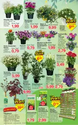 Gazetka promocyjna Jawoll - Prospekte - Gazetka - ważna od 28.05 do 28.05.2022 - strona 6 - produkty: Antirrhinum majus, Bau, blume, Blüte, calibrachoa, Container, eis, ente, erbsen, erde, Gemüseerde, geranie, HP, kirsch, kirsche, kräuter, LG, Pelargonium, petunie, pflanze, pflanzen, Rauch, reis, rum, sac, Spezi, stauden, Ti, tomate, tomaten, topf, usb, zauberglöckchen