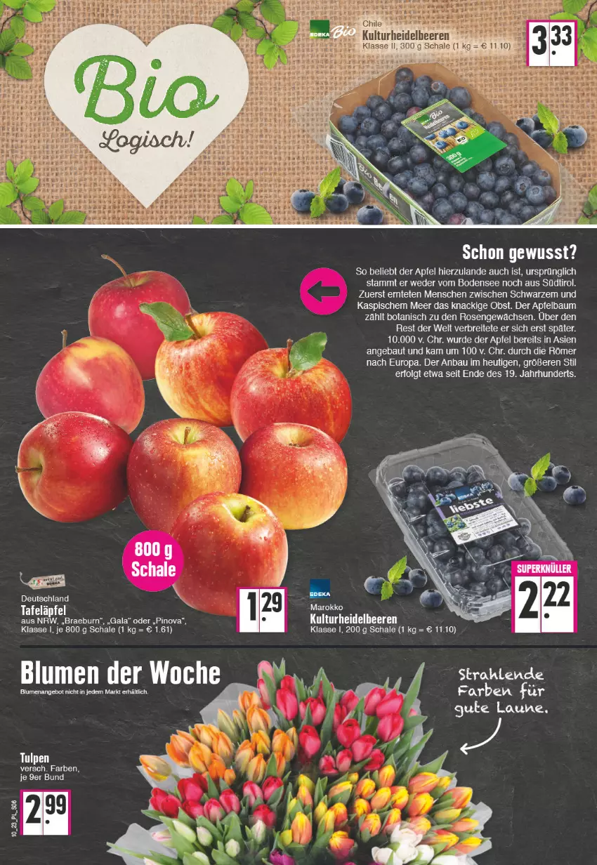 Aktueller Prospekt E Center - Angebote der Woche - von 06.03 bis 11.03.2023 - strona 6 - produkty: angebot, apfel, Bau, blume, blumen, brut, elle, Heu, LG, obst, rosen, Schal, Schale, tafeläpfel, Ti