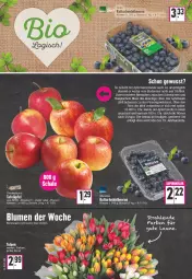 Gazetka promocyjna E Center - Angebote der Woche - Gazetka - ważna od 11.03 do 11.03.2023 - strona 6 - produkty: angebot, apfel, Bau, blume, blumen, brut, elle, Heu, LG, obst, rosen, Schal, Schale, tafeläpfel, Ti