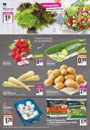 Gazetka promocyjna E Center - Angebote der Woche - Gazetka - ważna od 11.03 do 11.03.2023 - strona 9 - produkty: ball, champignon, champignons, discount, eis, erde, gurke, gurken, karotten, LG, petersilie, radieschen, reis, sac, salat, Salatgurke, salatgurken, Schal, Schale, stifte, Ti